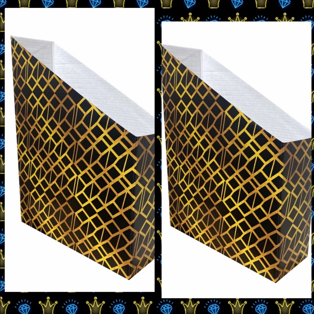 Two Designer Corrugated Cardboard File Holders